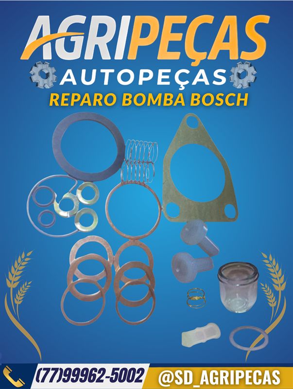 REPARO BOMBA BOSCH